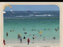 -瑶湖郊野森林公园