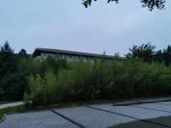 -漂洋体育·游泳馆·游泳培训(中石化会议中心馆)