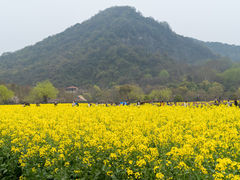 -八卦田遗址公园