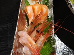 -鲤·鮨KOISUSHI
