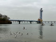 -星海湾跨海大桥