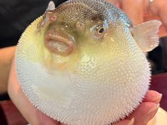 -永安鱼庄·镇江菜(东吴路店)