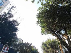 -房湖公园