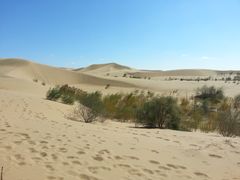 -亿利库布其七星湖沙漠生态旅游区