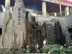 -上海海昌海洋公园