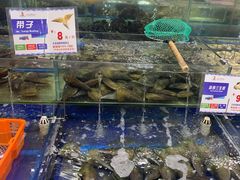 -东江海鲜酒家(艺都分店)