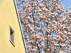 -颐和路民国时期公馆风貌区