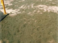 -海上田园