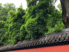 -成都武侯祠博物馆