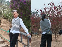 -南国桃园旅游度假区