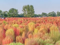 -汉长安城未央宫国家考古遗址公园
