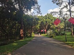 -莲花山公园