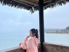 -汕尾风车岛