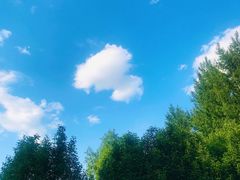 -蒲河岛湿地公园
