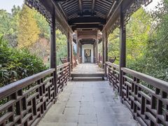 -八大山人梅湖景区