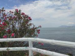 -三亚西岛海洋文化旅游区