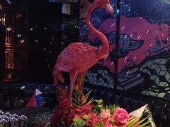 -好乐迪量贩KTV(春熙路香槟广场店)