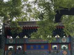 -北京国子监胡同