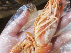 -大城·烧烤海鲜大排档(台东店)