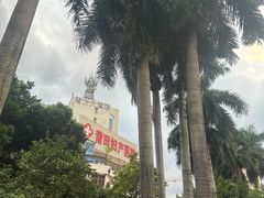 -求生煎包(武夷小区店)