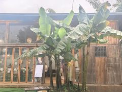 -柠檬花院烤肉·会议团建·聚会·求婚(三圣乡店)