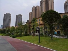 -府河摄影公园
