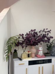 -WENDY·温迪皮肤管理