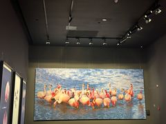 -罗红摄影艺术馆