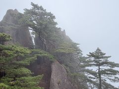 -黄山玉屏楼宾馆餐厅