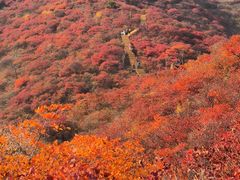 -水峪民俗村
