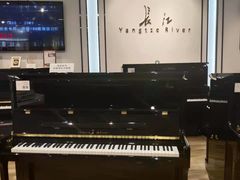 -柏斯琴行(汾阳店)