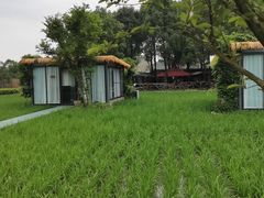 -洪湖家庭农场·团建·露营·会议