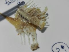 -茂港柏香(侨港路店)