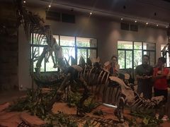 -自贡恐龙博物馆