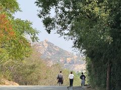 -嵖岈山风景区