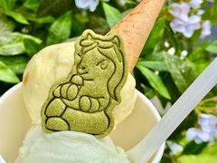 -深圳湾万象城(南山店)