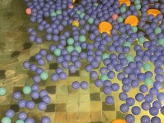 -天目湖涵田半山温泉