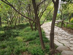 -清凉寺