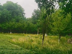 -樽宴酒楼·地道川菜·品质宴请