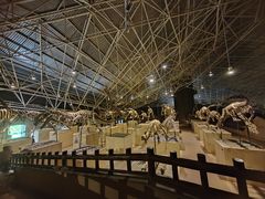 -世界恐龙谷景区