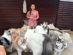 -TrueLove @ Neverland (Husky Cafe)