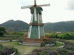 -亚龙湾国际玫瑰谷
