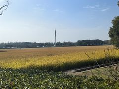 -嘉北郊野公园