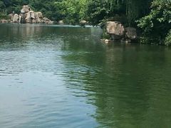 -白马涧龙池景区