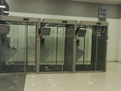 -谢列梅捷沃国际机场