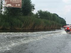-白洋淀景区