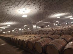 -紫轩葡萄酒庄园