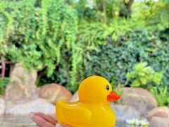 -湖泉半山温泉(湖泉生态园)