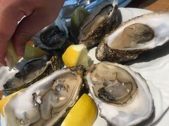 -NORDSEE Frankfurt Fisch Franke