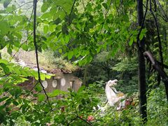 -终南山南五台景区